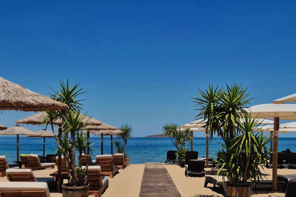 Camping_Gradina_Website_1440x880.jpg